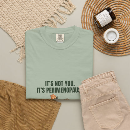 It’s Not You, It’s Perimenopause T-Shirt – Female Rage Horror Tee | Camp Blood Collection