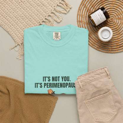 It’s Not You, It’s Perimenopause T-Shirt – Female Rage Horror Tee | Camp Blood Collection