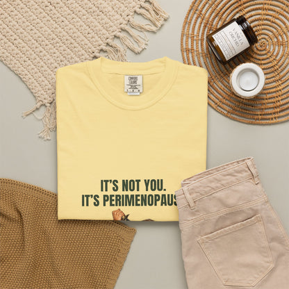 It’s Not You, It’s Perimenopause T-Shirt – Female Rage Horror Tee | Camp Blood Collection