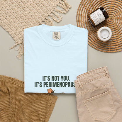 It’s Not You, It’s Perimenopause T-Shirt – Female Rage Horror Tee | Camp Blood Collection