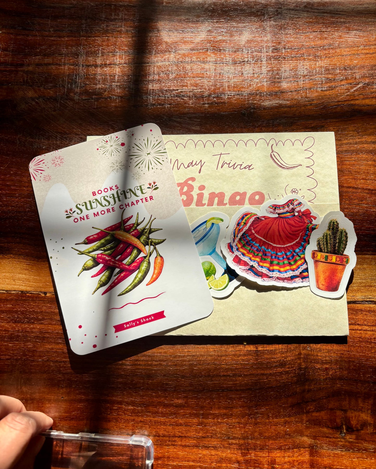 Books, Sunshine, One More Chapter Kindle Insert + Stickers | May Mail Club $6