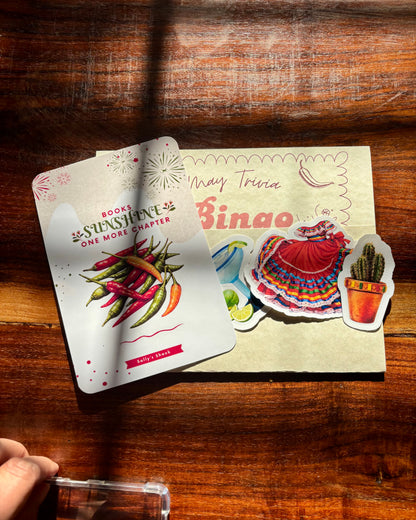 Books, Sunshine, One More Chapter Kindle Insert + Stickers | May Mail Club $6