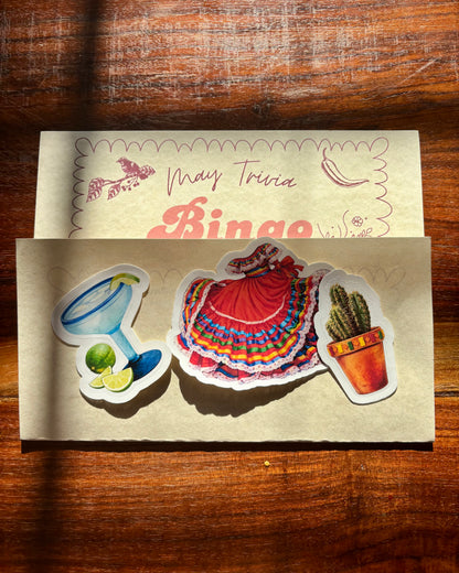 Cinco de Mayo Kindle Insert + Stickers | Festive Reader Kindle Insert | May Mail Club
